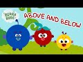   berrybuds   new above and below  educational songs for kids