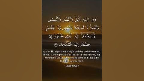 القارئ بن عيسى قنوني من ولاية تيارت