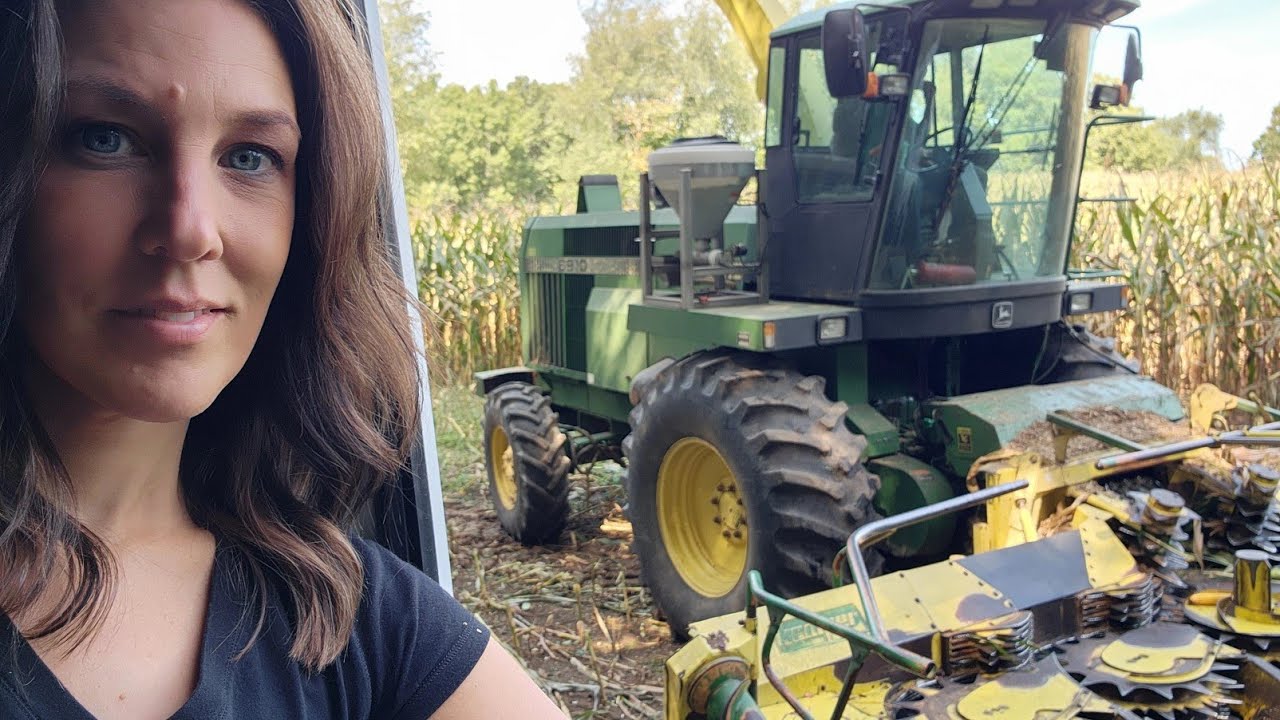 Busy Harvest Season: Chopping Corn and Mowing Hay 🌽🚜🐄 - YouTube