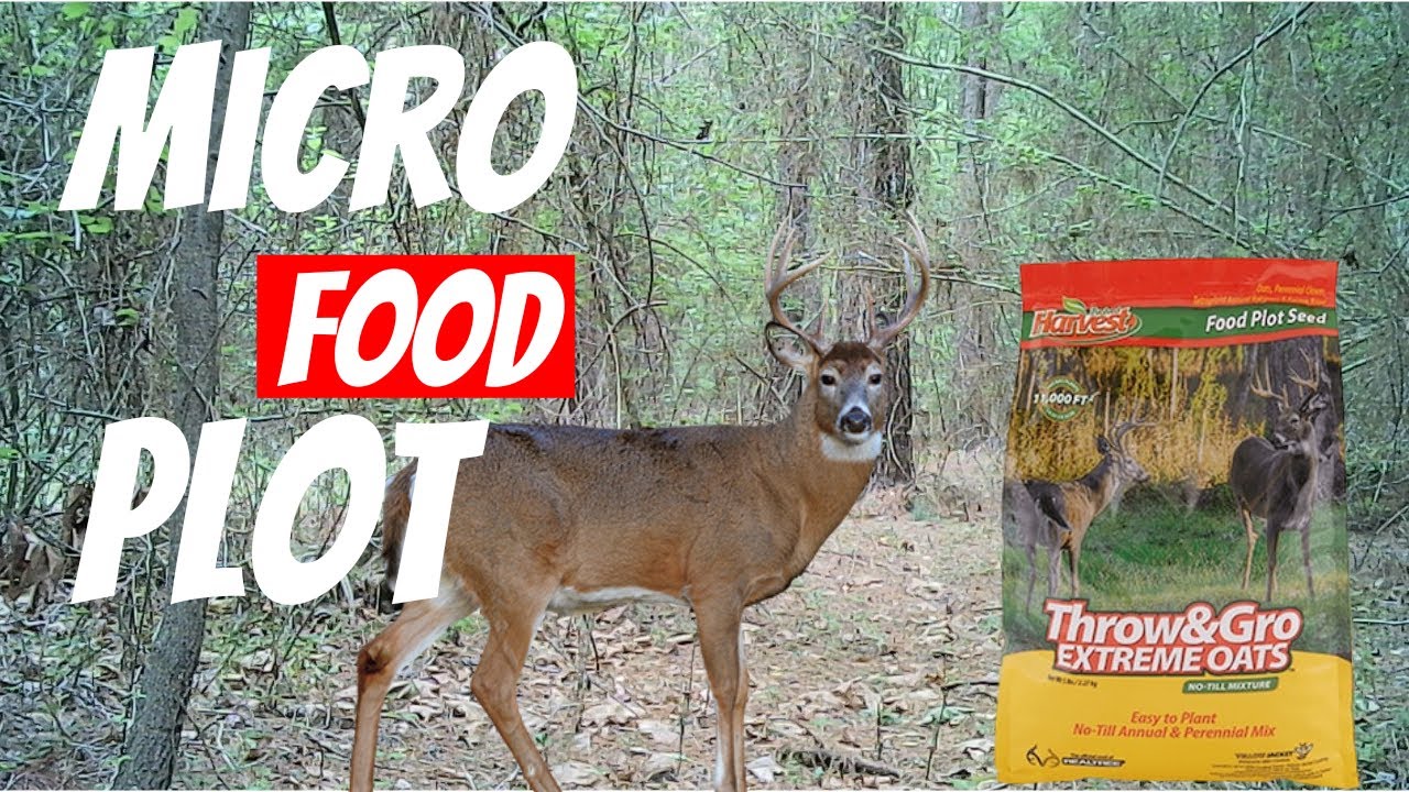 Planting My First Ever Micro Food Plot! - YouTube