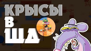 5 Видов крыс в игре Brawl Stars.