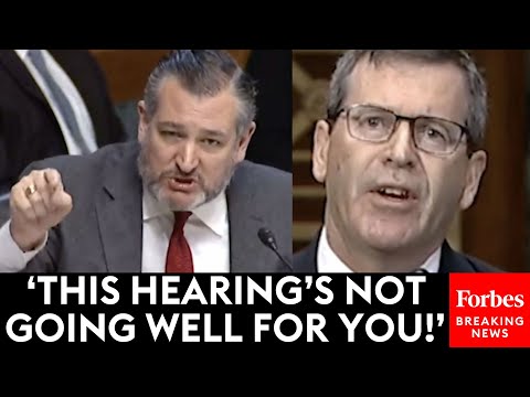 'Why Did You Give A False Answer To Sen. Cornyn?': Ted Cruz Unloads On Biden Judicial Nominee