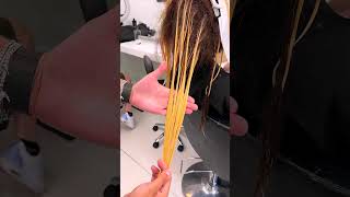 Hair Color Blonde Transformation #shorts #shortsvideo #viral