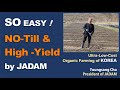 SO EASY! NO-Till & High-Yield Technology by JADAM. Organic Farming.