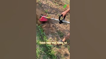 Máy xới đất xạc cỏ #thapxanh #o348233oo6 #mayxoidat #mayxacco #lamvuon #nongnghiep #xuhuong