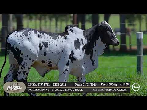 Lote 194 - IBIZ 2711