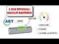 Beneficial Biofilm Bacteria - waste water treatment