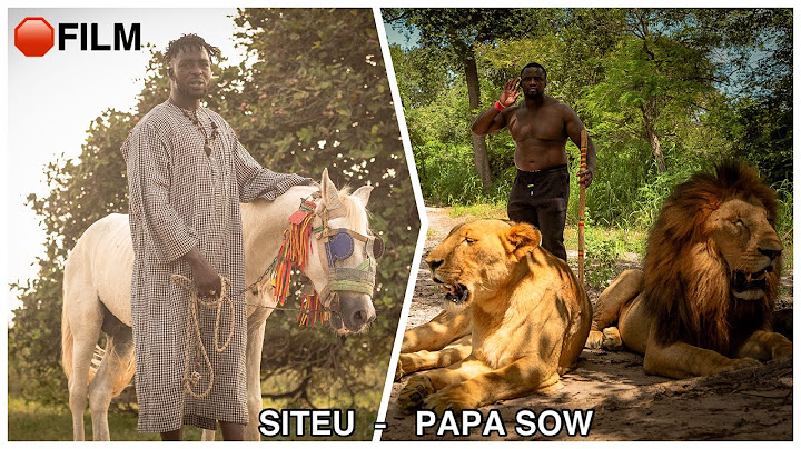 🛑 Exclusif - Siteu sort un fusil et attaque Papa Sow et les lions dans la jungle