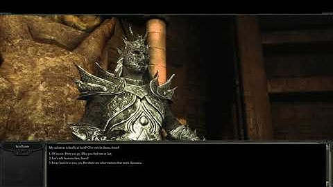 Divinity II: Developer