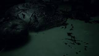 Resident Evil 7 biozard Gold edition
