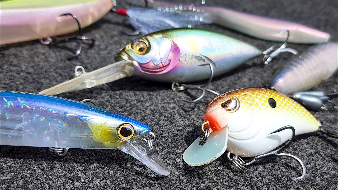 Top 5 Baits For October Bass Fishing! 