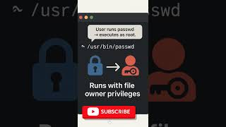 SUID in Linux 🔐 | The Hidden Root Power Every SysAdmin Must Know!