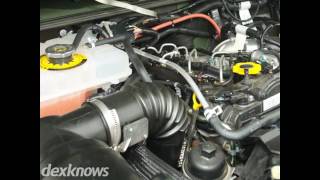 Eagle Tire Automotive Tacoma Wa 98421-1107