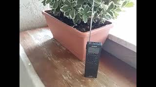 Amica Radio Veneta 1017 khz screenshot 4