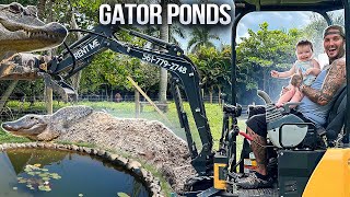 Natural Gator Pond Diggin! And Venomous Snake care!