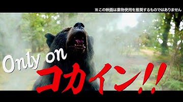 コカインでキマったクマを止められるのはコカインだけ！映画『コカイン・ベア』TVスポット
