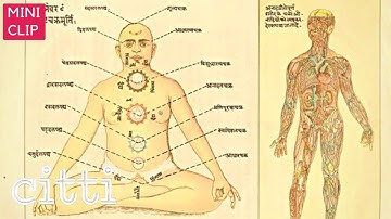 "The next big scientific changes will be informed by Vedic ideas." Prof. Subhash Kak