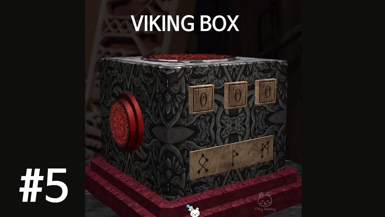 EVO India Mystery Box