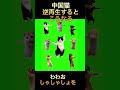 中国ダンス猫を逆再生して空耳してみたw#猫ミーム#逆再生#shorts