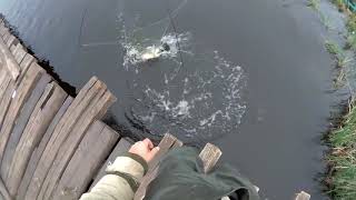 ОЧЕНЬ ИНТЕРЕСНАЯ РЫБАЛКА ПАУКОМ!!! Полотна рвутся , шесты ломаются!!! СМОТРЕТЬ ДО КОНЦА!!! ОЧЕНЬ ИНТЕРЕСНАЯ РЫБАЛКА ПАУКОМ!!! Полотна рвутся , шесты ломаются!!! СМОТРЕТЬ ДО КОНЦА!!!
