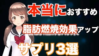 ダイエット脂肪燃焼効果の激ヤセサプリメントおすすめ3選【誇張なし】