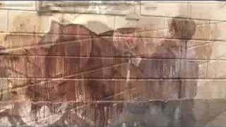Scram-it Graffiti removal
