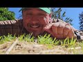 Middle of video
