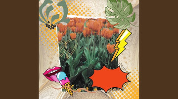 Sprightly Backdrops for Mellow Out Message