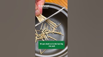 🌱 Rễ Cỏ Tranh: Thanh nhiệt, giải độc, tốt cho thận #caythuoc #thaoduoc  #caythuocquy #thiennhien