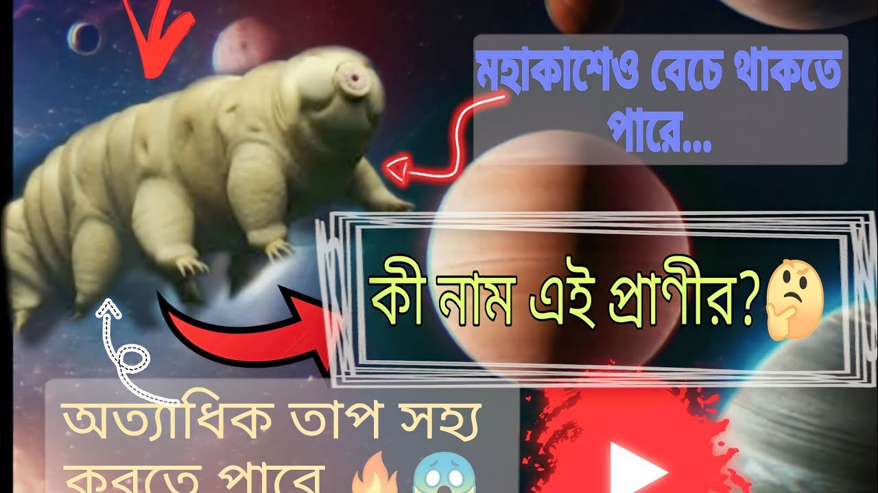 Water Bear: এই প্রাণীর মৃত্যু নেই ||