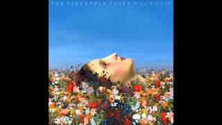 Video thumbnail of "The Pineapple Thief - Magnolia (Acoustic)"