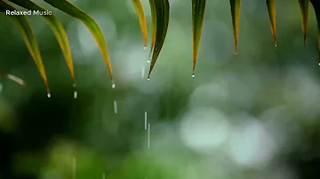 10 Hours of Relaxing Music  - Sleep Music with Rain Sound, Piano Music for Stress Relief