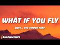 BUNT The Temper Trap What If You Fly Sweet Disposition Lyrics mp3