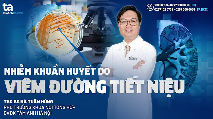 So sánh quilonon và amoxicilin tiết niệu năm 2024