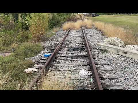 Homestead Abandoned Railroad Crossing “Is it coming back to life?”
