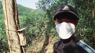 cách nhận biết con ong soi ~ đàn ong về đàn siêu nhanh { Nam Vũ Quang Vlog }