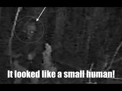 Spooky Humanoid-Like Creature ACTIVATES Motion Camera In Australia Forest!