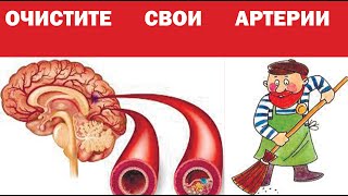 Все Врачи пьют этот Чай! Очищает сосуды мозга, улучшает память, зрение, слух, улучшает Сон