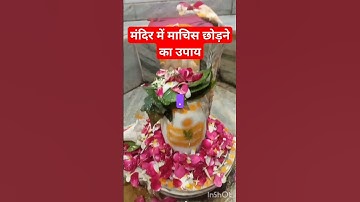 शिव मंदिर में माचिस का उपाय जरूर करे#shortvideo