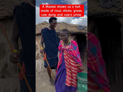 A Maasai Hut Home Made Of Cow S Urine Cow Dung Mud Sticks Grass In Tanzania Africa 