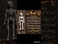 قیامت کا دن        