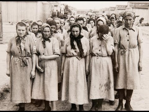 Видео: Лица смерти: уникальный фотоархив из Освенцима выставлен в Москве