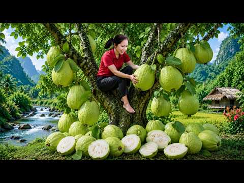 [TIMELAPSE] +24 Hours Harvesting Guavas, Cucumbers, Bananas,... To Sell At The Local Market
