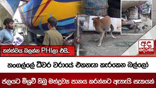 තගලල ධවර වරය එකතන කරකන බලල ජලයට මශරව තබ මතදරවය පනය කරනනට ඇතය සකයක