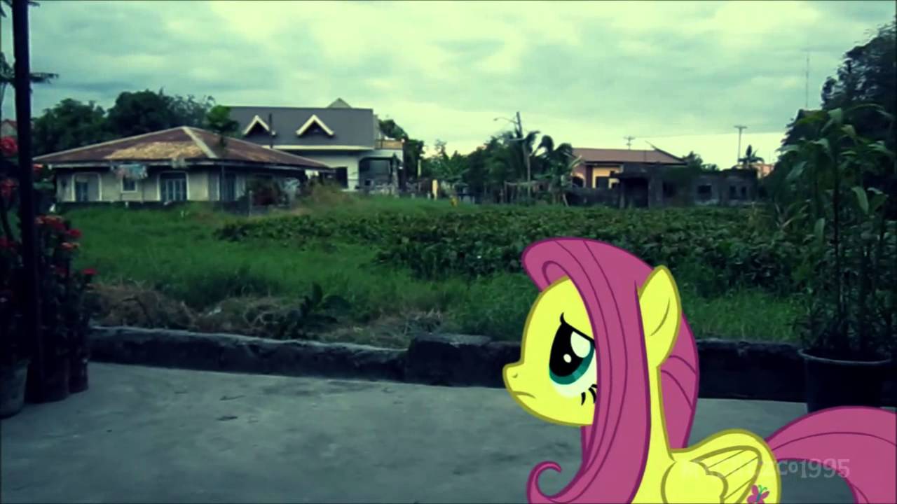 Unsure (Ponies in Real Life Animation Test)