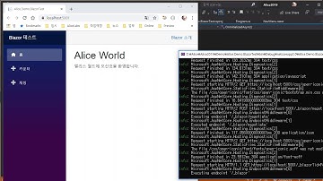 Alice2019 / P00050 / ASP.NET Core 3.0 / Blazor / Chat / sync message