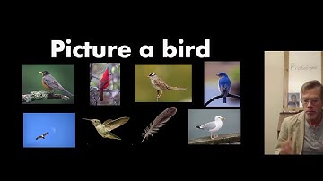 Prototypes in Language