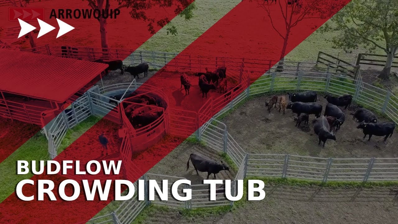 Arrowquip Budflow Crowding Tub - YouTube