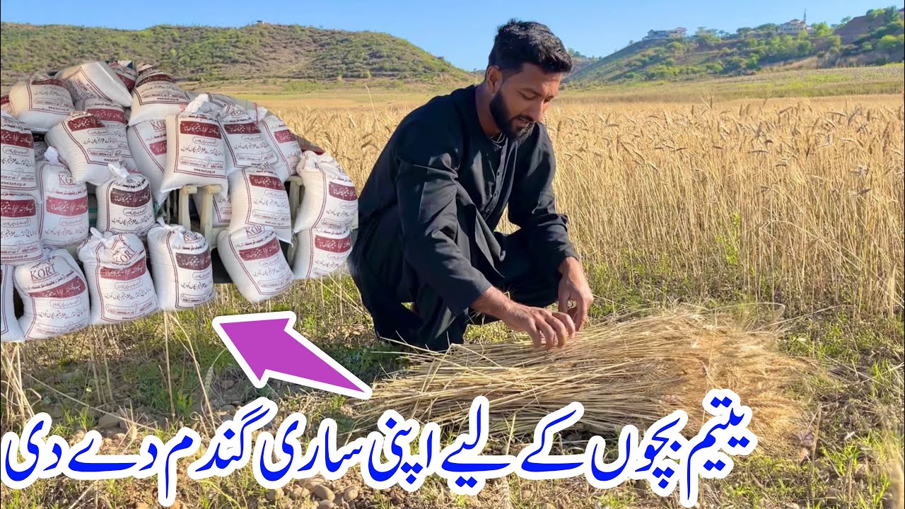 A Small Gift For 500 orphans Childrens of KORT YouTube