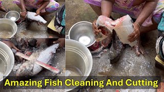 Amazing Cutting Skills | Giant Bocha Fish Cleaning & Cutting By Expert Fish Cutter | Machilipatnam